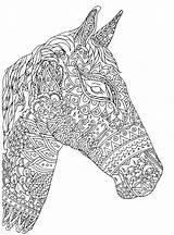 Illustration Vector Drawn Horse Hand Background Mustang Preview sketch template