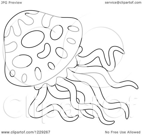 clipart   outlined jellyfish royalty  vector illustration
