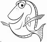 Nemo Pesce Pez Fisch Dory Buscando Malvorlage Gemeiner sketch template