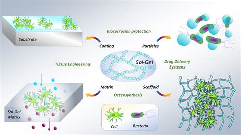 gels  full text  role   sol gel synthesis process   biomedical field