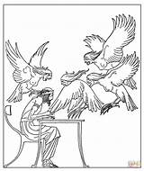 Harpies Arpie Fineo Disegno Phineus Stampare sketch template