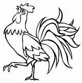 Rooster Drawing Coloring Drawings Crowing Cartoon Pages Fighting Beautiful Farm Color Colouring Roosters Animal Outline Simple Kids Chicken Line Kidsplaycolor sketch template