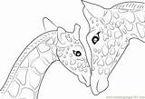 Giraffe Coloring Pages Baby Printable Mother Head Drawing Cute Funny Outline Kids Elephant Color Microscope Light Adults Compound Animal Getdrawings sketch template