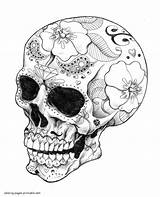 Coloring Pages Skull Skulls Adult Adults Printable Print Look Other sketch template