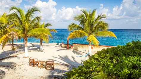 cozumel vacations  vacation packages deals travelocity