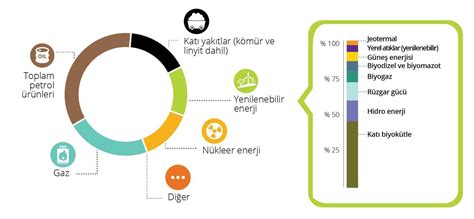 avrupa birligi uelkelerinde kullanilan yakit tuerleri stratejik ortak
