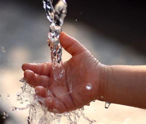 7 maneras de ahorrar agua de forma sencilla en tu hogar aqua
