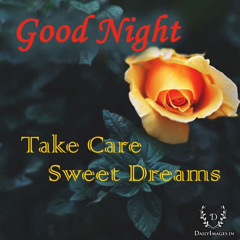 Good Night Take Care Sweet Dreams Daily Images