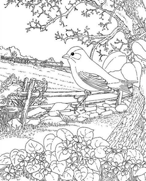 spring coloring pages  ai