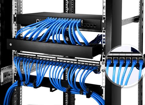 cata patch panel  network cabling fiber optic social network