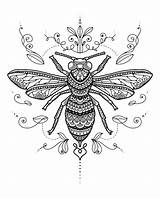 Mandala Bee Coloring Premium Vector sketch template