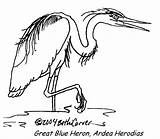 Heron Coloring Blue Great Pages Color Delta Book Animals Animalstown Birds Animal Would Printable These Bird Egret Print Back sketch template