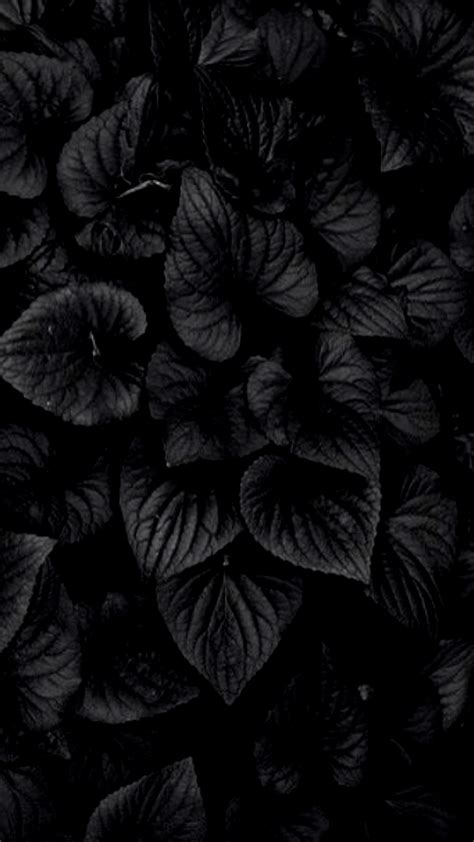 phone black wallpapers wallpaper cave