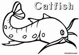 Catfish Coloring Drawing Getdrawings sketch template