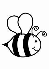 Abeja Dibujo Coloring Bee sketch template