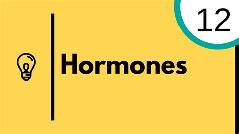 hormones igcse biology youtube