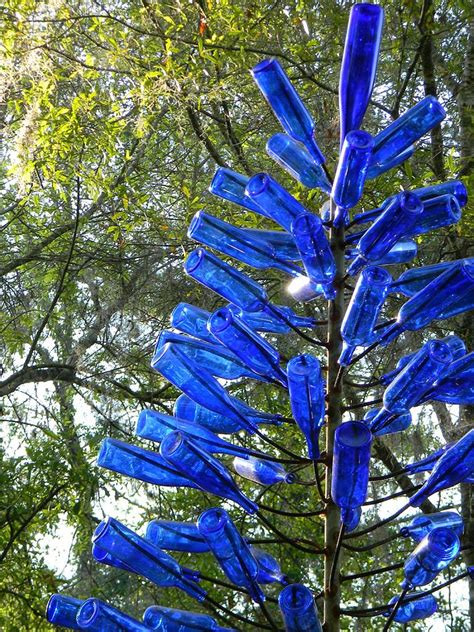 Blue Bottle Tree Photograph By Warren Thompson