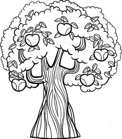 fruit tree coloring page tree coloring page