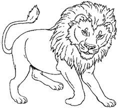 zoo animals kids coloring pages   colouring pictures  print