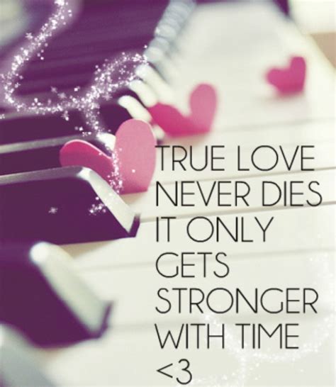 true love quotes    fall  love