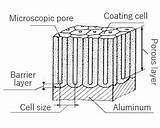 Anodizing Anodize Porosity Microscopic Impregnated Pores Dyes sketch template