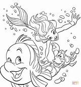 Ausmalbilder Sebastian Little Arielle Colouring Flounder Coloringpages Child sketch template