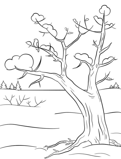 winter trees coloring pages tree coloring page coloring pages winter