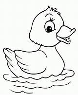 Pato Patos Nadando Animalitos Cangrejo Libros 10dibujos Ducks sketch template