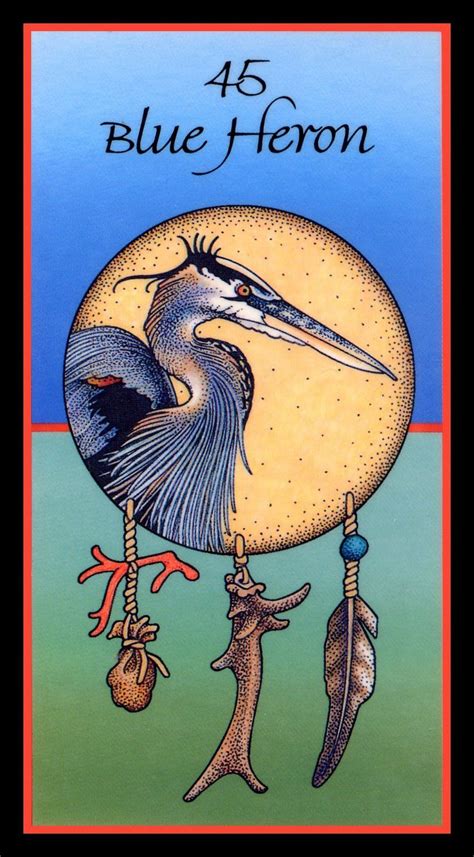 blue heron  reflection medicine cards  angela werneke