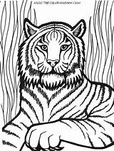 Lion Coloring Pages Color Print sketch template