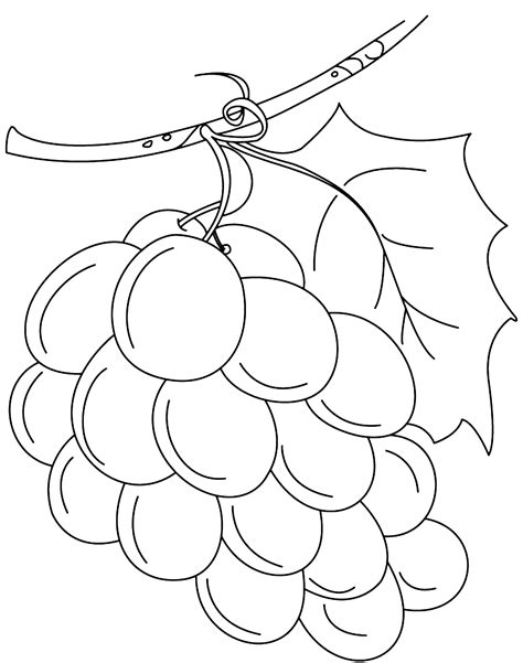 visit  collection    fruit coloring pages click