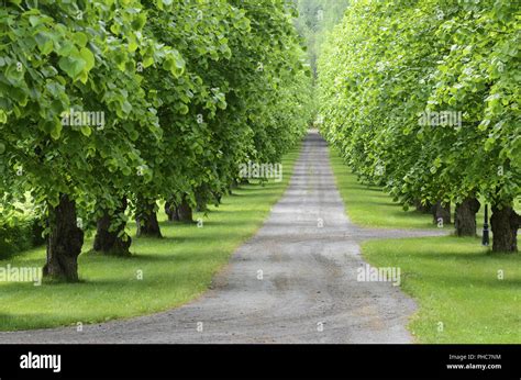 wide alley  res stock photography  images alamy