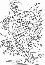 Fish Coy Coloring Pages Lotus Swim Between Color sketch template