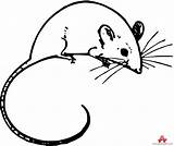 Clipart Tail Mouse Outline Mice Long Clip Drawing Cliparts Tailed Library Clipground sketch template