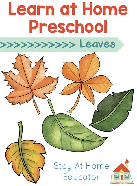 leaves preschool lesson plans stay  home educator