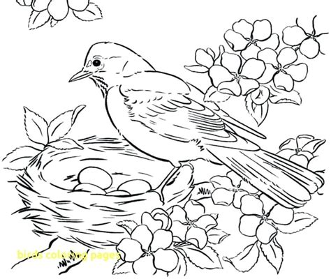 birds drawing  colouring  getdrawings