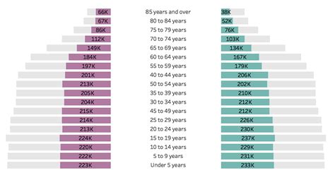 how to visualize age sex patterns with population pyramids in tableau