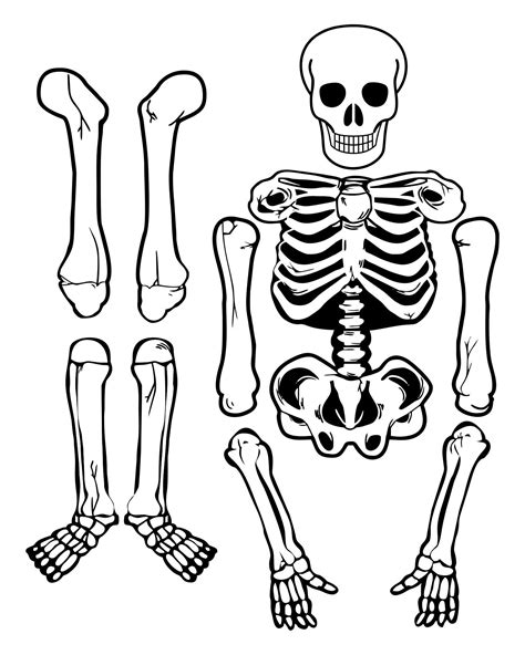 printable skeleton template cut