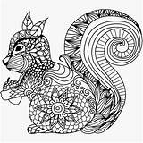 Coloring Pages Squirrel Mandala Animal Color Sheets Choose Board Printable sketch template