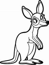 Kangaroo Marsupial Joey Getdrawings Designlooter sketch template