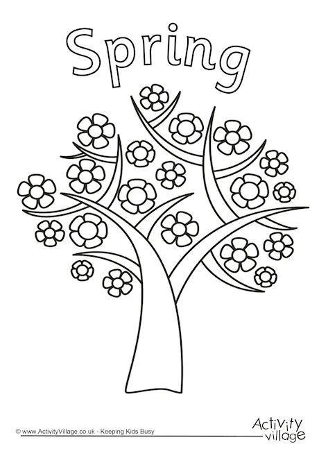 gambar seasons spring tree colouring page coloring pages trees