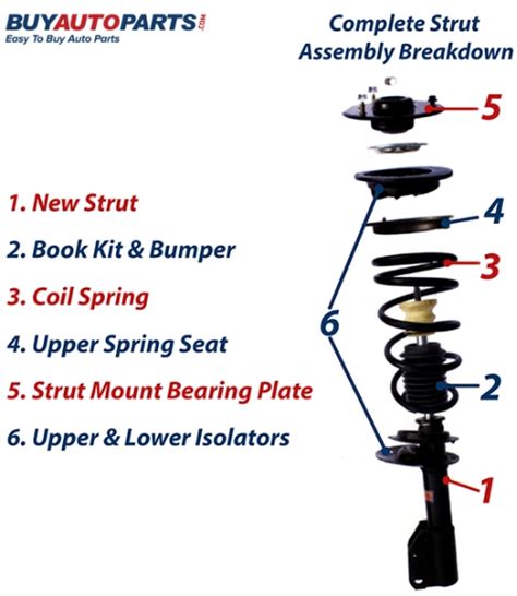 car  shocks diagram