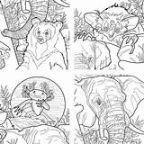 Animals Book Colouring Endangered Coloring Protect Extinct sketch template