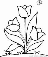 Coloring Pages Easy Flower Flowers Printable Drawing Colouring Tulip Print Tulips Kids Drawings Simple Color Frame Getdrawings Line Getcolorings Pdf sketch template