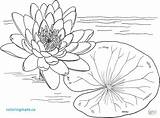 Monet Lilies sketch template