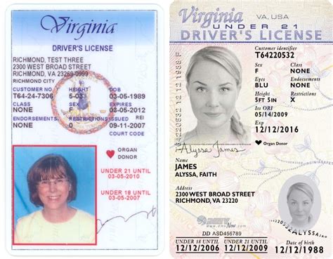 blank virginia drivers license template