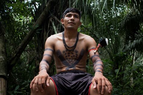 Transcend Media Service Amazon Rainforest On Fire In Brazil