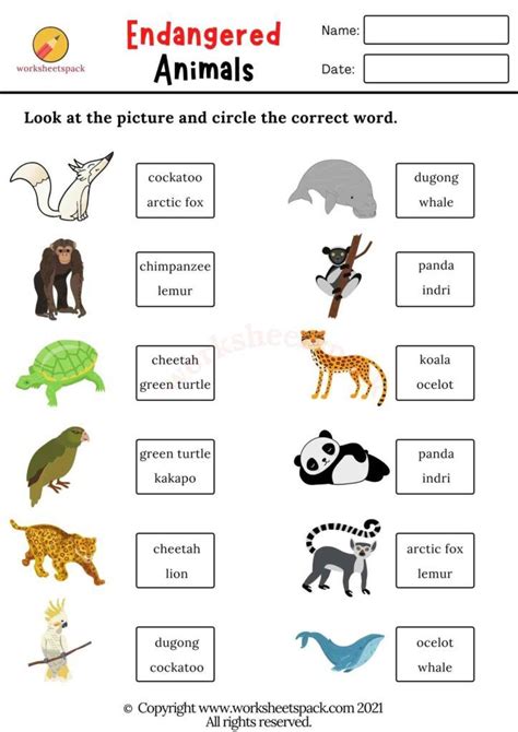 endangered animals worksheets printable   worksheets pack