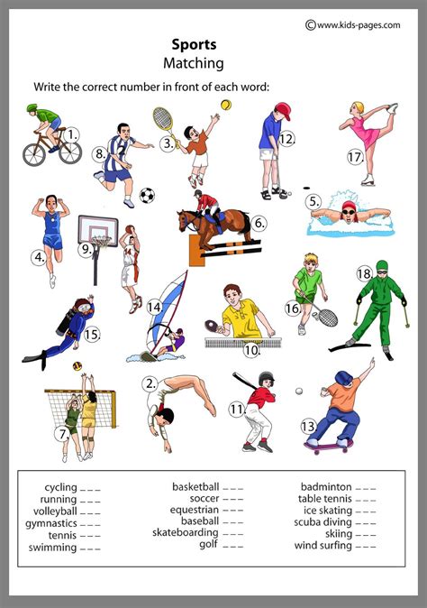 sports worksheets kidsworksheetfun
