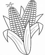 Corn Coloring Pages Color Indian Thanksgiving Clipart Celery Stalk Print Printable Kids Drawing Getcolorings Popular sketch template